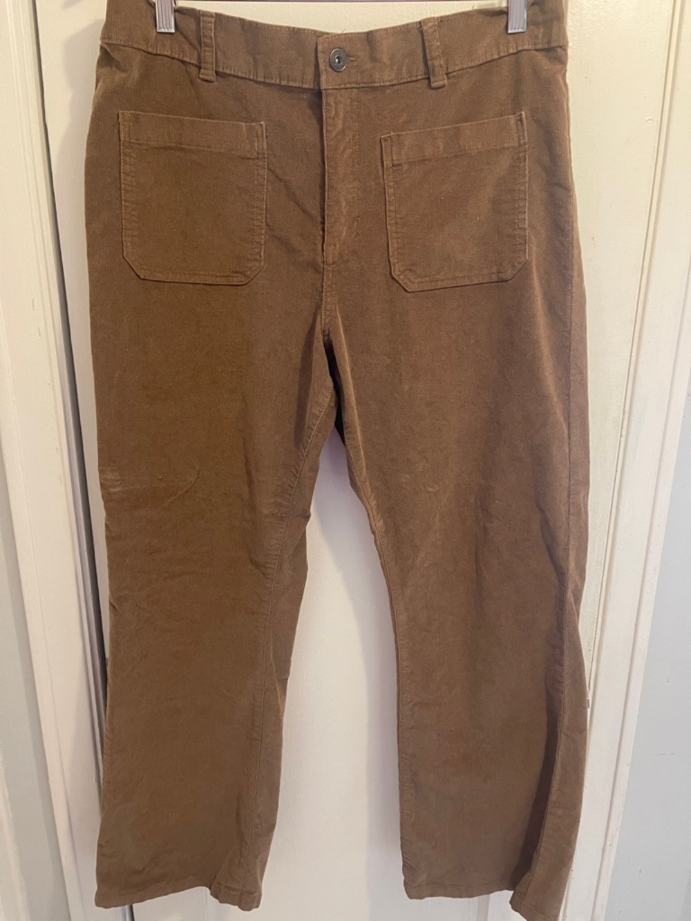 Comfy Brown Dash Corduroy Pants (item 55)